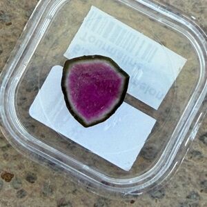 Watermelon Tourmaline Slice Loose Gemstone 5.59 carats